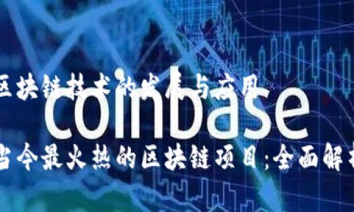 区块链技术的发展与应用

当今最火热的区块链项目：全面解析