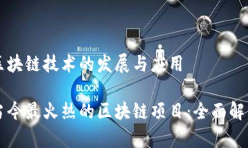 区块链技术的发展与应用

当今最火热的区块链项目：全面解析